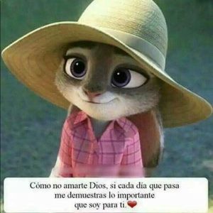 Meet your Posher, Julie